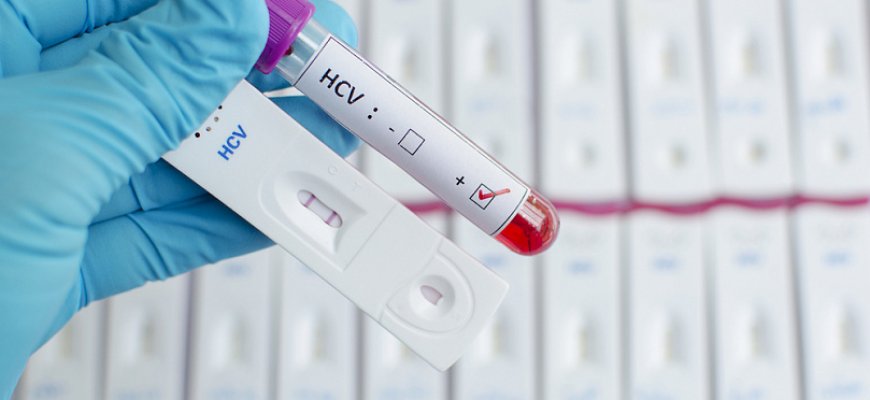 Новости про - Диагностика: где сдать кровь и как узнать генотип и нормальные показатели анализов