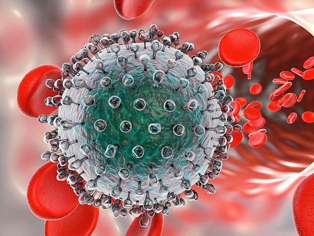 Новости про - Антитела к гепатиту С - причины появления, расшифровка анализа при обнаружении в крови антител после гепатита С
