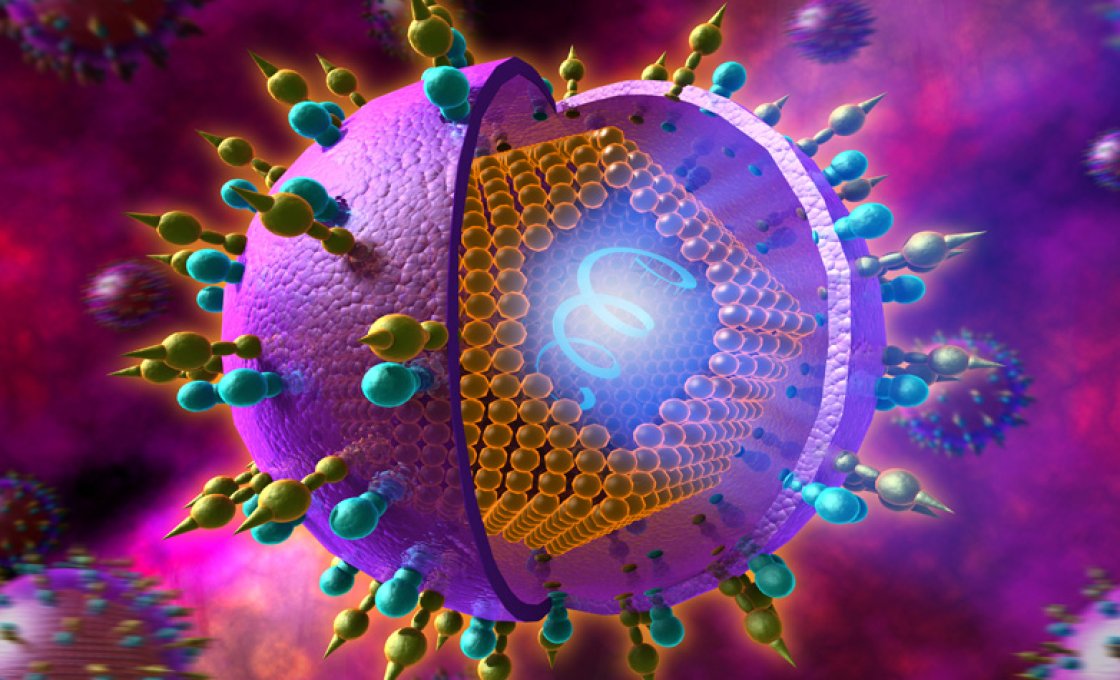 Новости про - Что такое генотип HCV, как выявить и чем они отличаются?